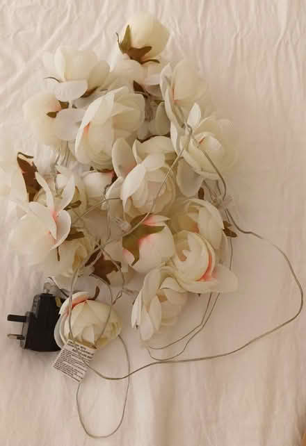 Photo of free String of flower lights and plug (Winkwell HP1) #1