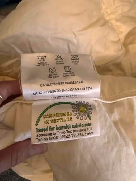 Photo of free Duck down duvet (L17) #2