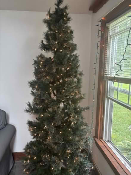 Photo of free 7' tall Xmas tree (Naugatuck CT 06770) #2