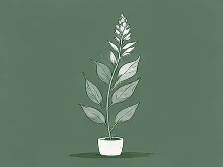Photo of free Tall Perennial Plant. (Broxbourne EN10) #1