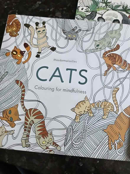 Photo of free Three Mindfulness Colouring Books (Chelmer Village CM2) #3