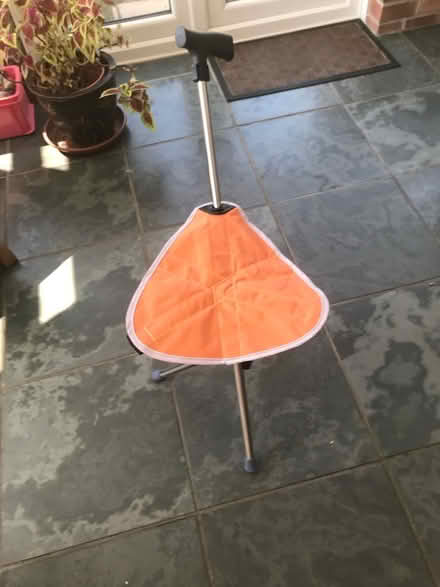 Photo of free Walking stick cum seat (Snettisham PE31) #2