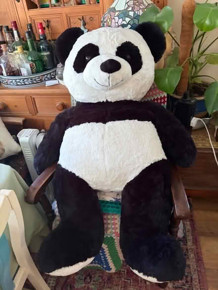 Photo of free Large Panda (Peachcroft OX14) #1