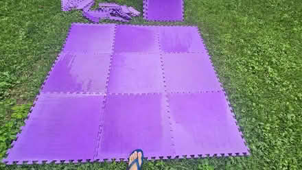 Photo of free foam mat (Barnaby Woods (Chevy Chase) DC) #1