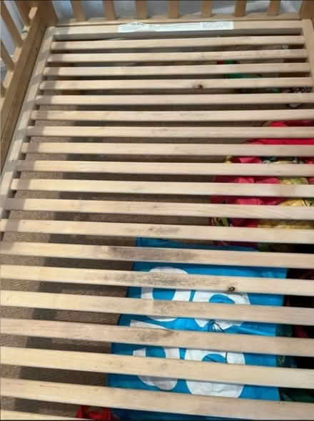 Photo of free Toddlers bedframe and mattress (Shirecliffe S5) #3
