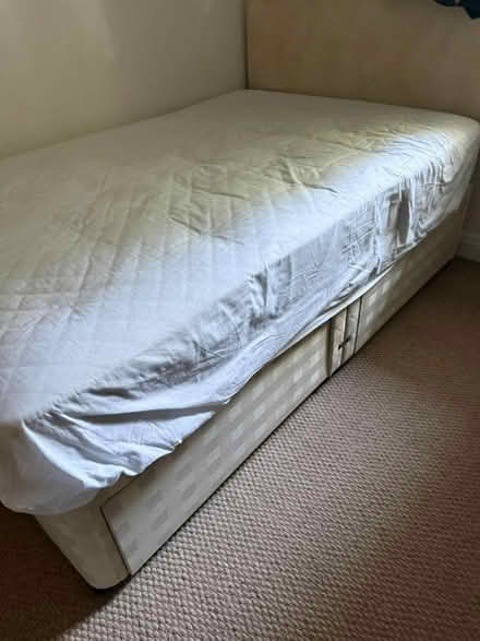 Photo of free Bed and mattress (SW15 Putney Vale) #3