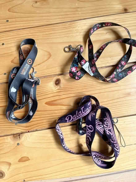 Photo of free lanyards (Poulner BH24) #1