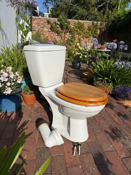 Photo of free Complete Toilet Set with Wooden Seat (West Hill BN1) #1