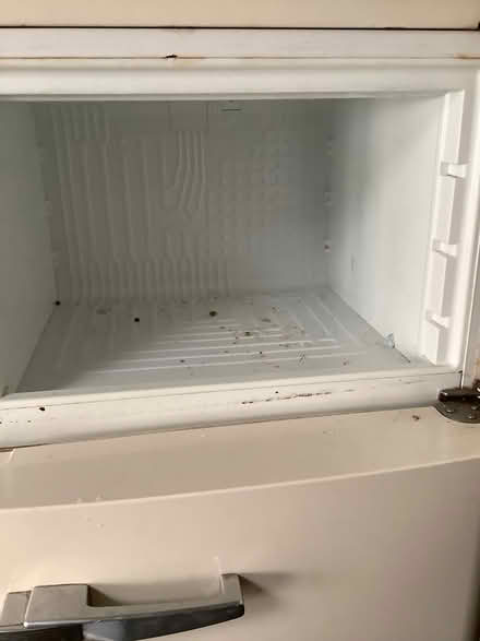 Photo of free Smog fridge freezer (Thornton heath CR7) #2