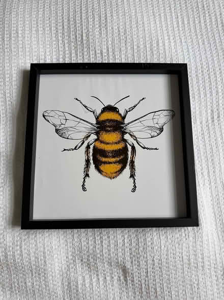 Photo of free Bee Picture, Black frame no glass (BL1 8GE) #1