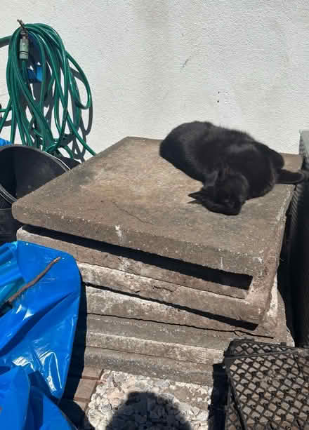 Photo of free Paving slabs (West derby L12) #2