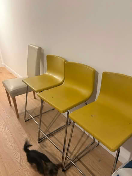 Photo of free Yellow chairs (Wicklow town) #2