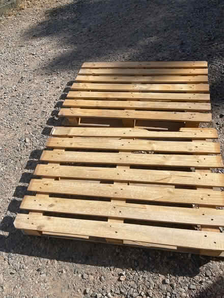 Photo of free 2 clean pallets (Woking GU22) #1