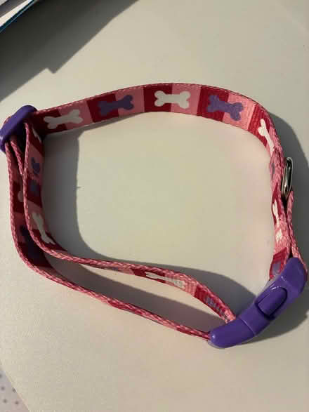 Photo of free Unused dog collar (Shenley brook end MK5) #1