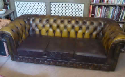 Photo of free 3 seater leather Chesterfield sofa (Barton Bendish PE33) #1