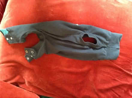 Photo of free Medical Pet Shirt (Upper Bevendean BN2) #2