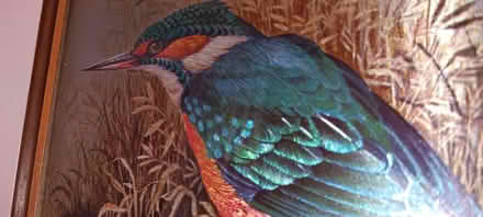 Photo of free Beautiful kingfisher artwork (Fenny Stratford MK2) #2