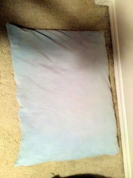 Photo of free Large Dog Beds (Near El Camino & Walnut) #1