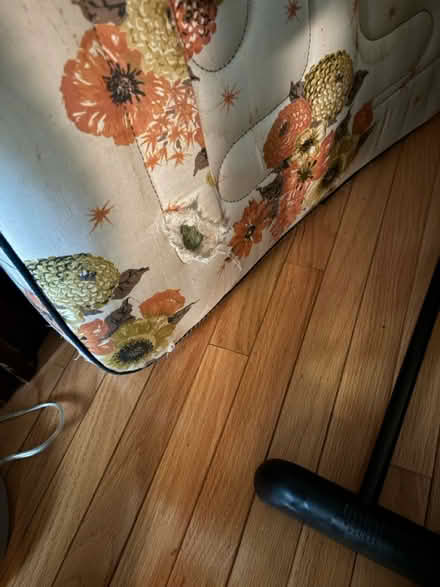 Photo of free Narrow twin mattress (Highland Park) #2
