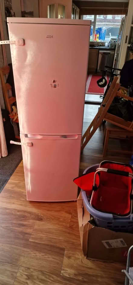 Photo of free White tall fridge / freezer (Broadstairs CT10) #1