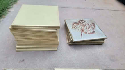 Photo of free Pretty tiles (Northcote Road SW11) #2