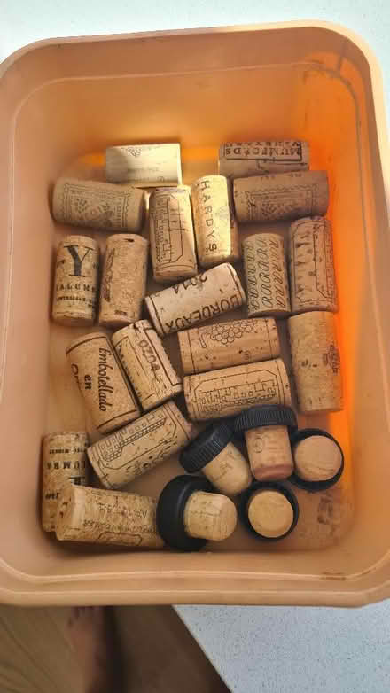 Photo of free Corks (Weston Park BA1) #1