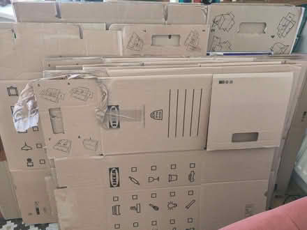 Photo of free Collapsable packing boxes (Howdon NE28) #1