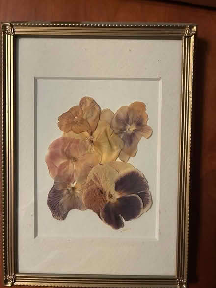 Photo of free framed pictures (Rockville) #2