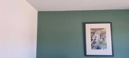 Photo of free Green Remanufactured Wall Paint 5l (Penrith CA11) #2