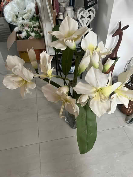 Photo of free Artificial Lilies (Locks Heath SO31) #2