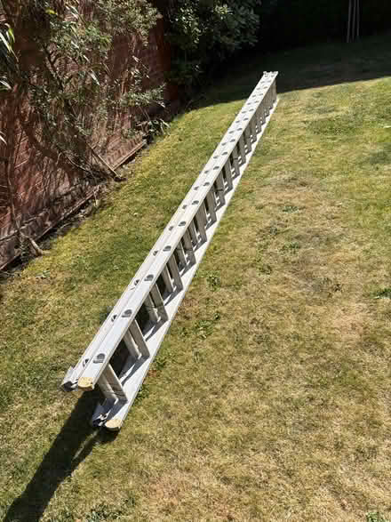 Photo of free 30 foot ladder (Littleover, Derby) #1