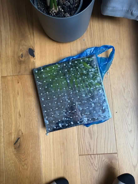 Photo of free Shower Head (Earls Court) #1