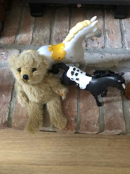Photo of free Teddy (Wells, BA5) #1