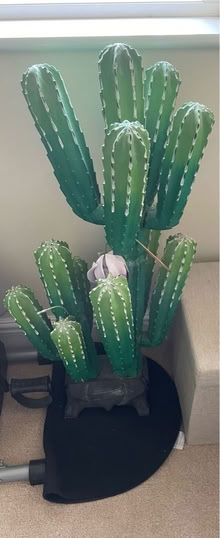 Photo of free Large Balinese Wooden Cactus (Surbiton KT6) #1
