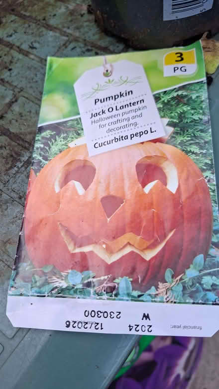 Photo of free Pumpkin hello Jack O Lantern (Hillingdon UB10) #2
