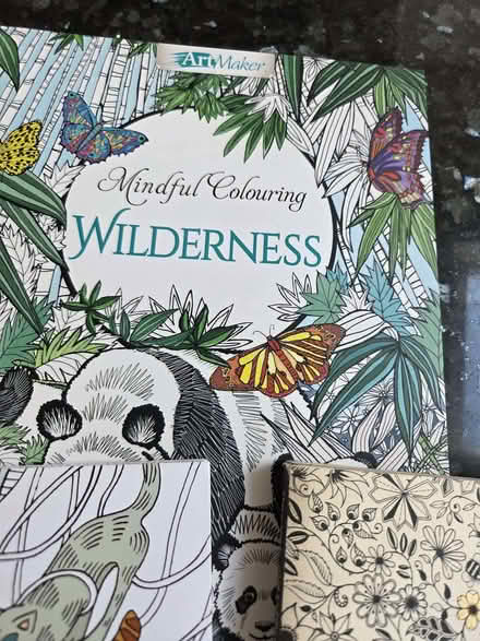 Photo of free Three Mindfulness Colouring Books (Chelmer Village CM2) #4