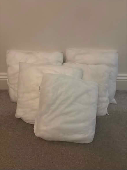 Photo of free 5 x pillow inserts (LA1) #2