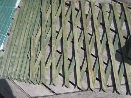 Photo of free Trellis (Ruddington NG11) #2