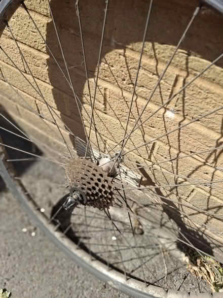Photo of free Bicycle wheels (Mangotsfield BS16) #4