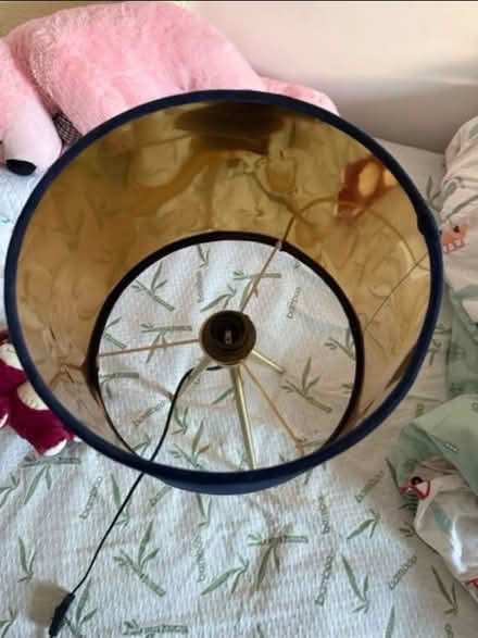 Photo of free Navy blue color (Moorfields L3 2EZ) #2