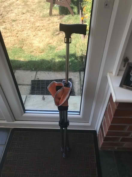 Photo of free Walking stick cum seat (Snettisham PE31) #1