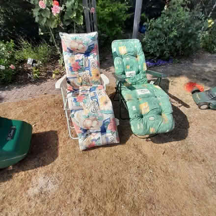 Photo of free Sunbeds (Havant PO9) #1