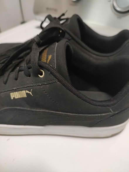 Photo of free Men's puma tennis shoes (Odenton) #3