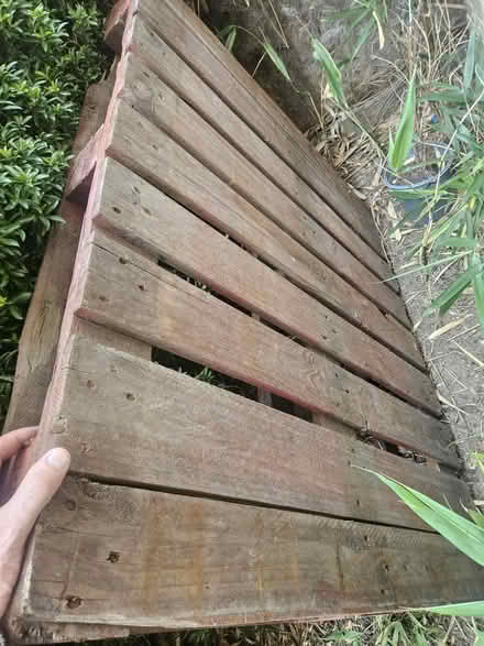 Photo of free Pallets x 2 - Near Brockley Station (Crofton Park, Brockley) #1