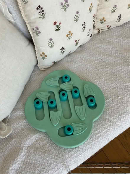 Photo of free Puzzle dog toy (Monkseaton, NE25) #1