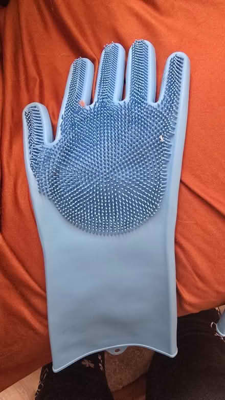 Photo of free Gloves for hair cats and dogs (Marshalswick AL4) #1