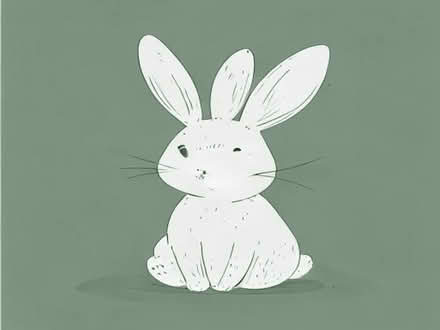 Photo of Rabbit stuff (Old Kesgrave IP5) #1