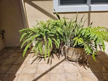 Photo of free Assorted planters (Glencoe) #2