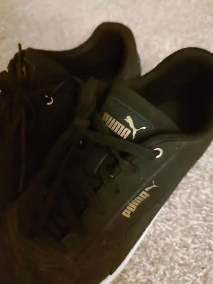 Photo of free Men's puma tennis shoes (Odenton) #2