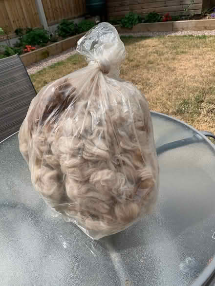 Photo of free Alpaca wool (Cullompton) #1